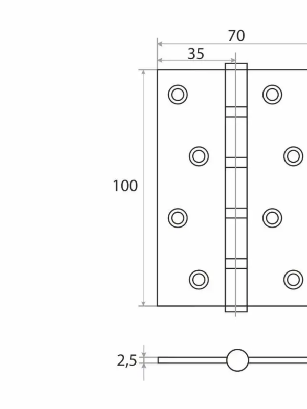 Петля конус 100х70х2,0 блистер TRODOS золото