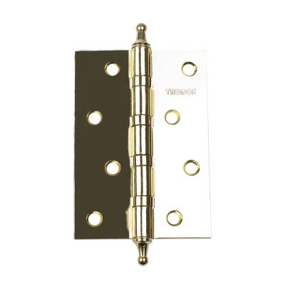 Петля конус 100х70х2,0 блистер TRODOS золото